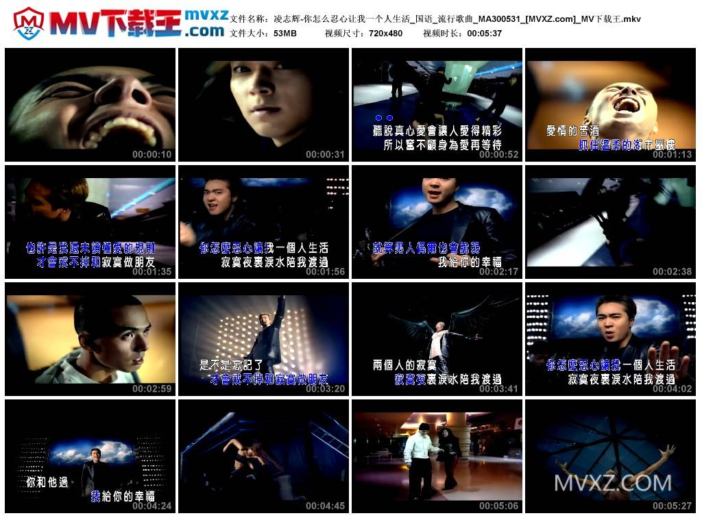 凌志辉-你怎么忍心让我一个人生活_国语_流行歌曲_MA300531